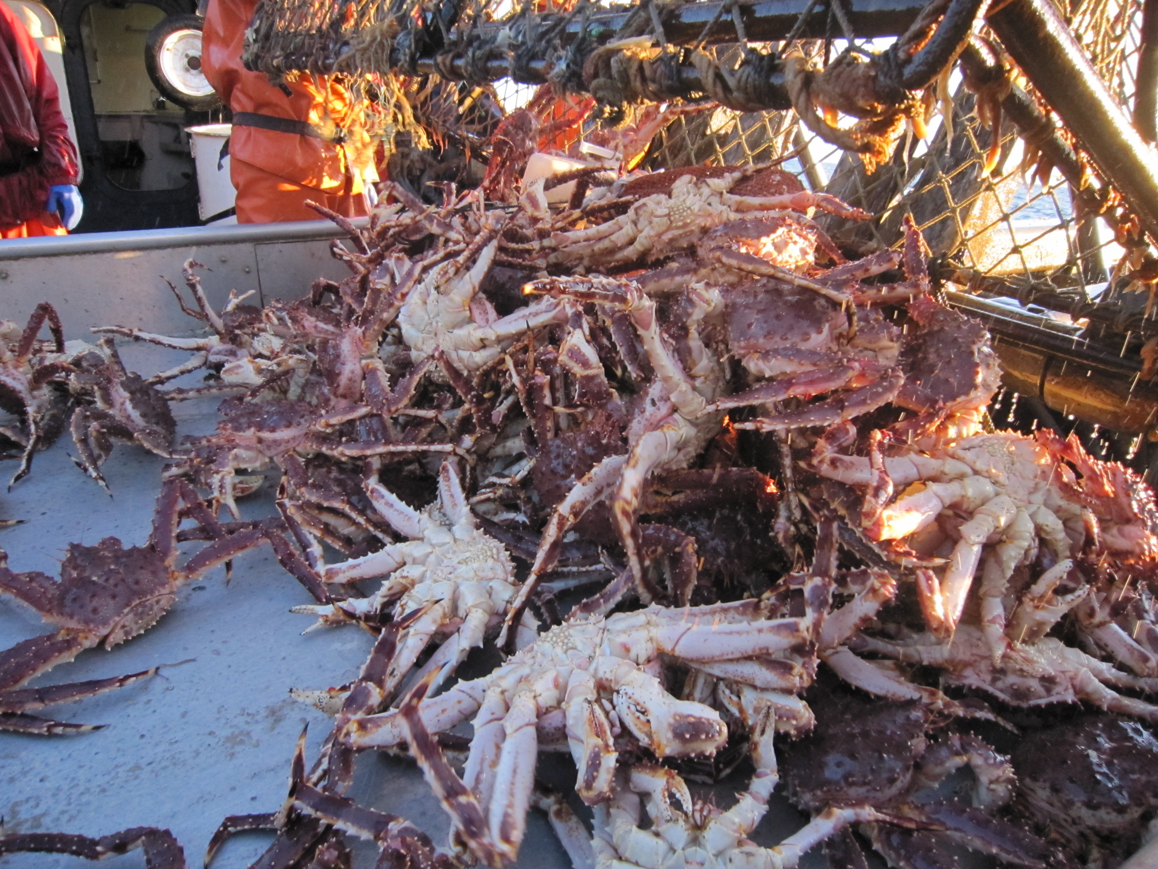 DEADLIEST CATCH | Mountainfilm in Telluride