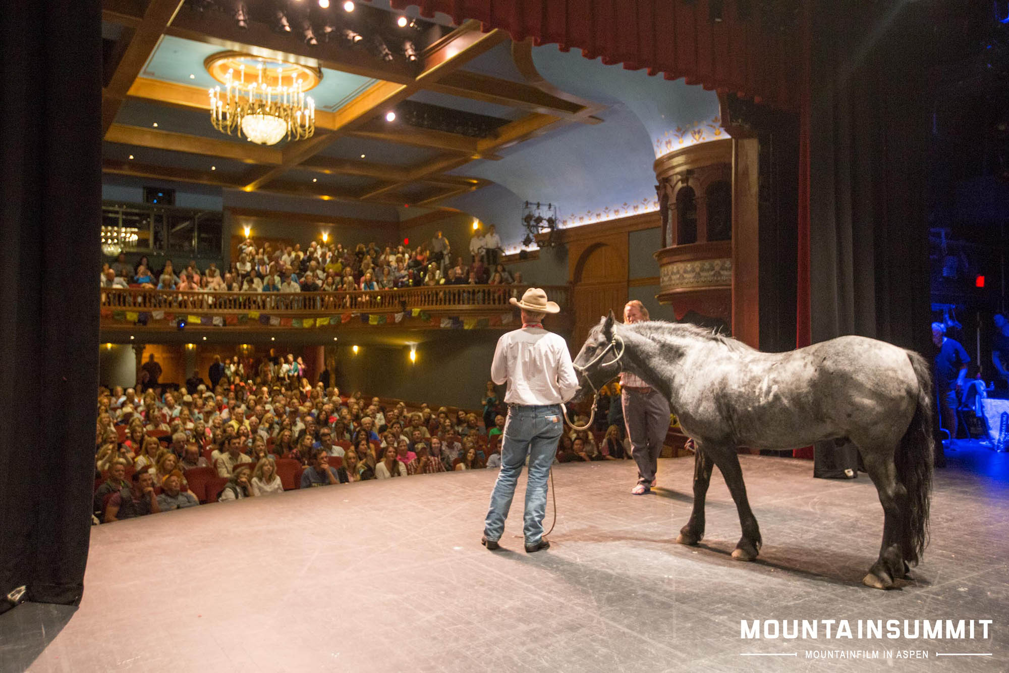 Ben Masters led Tuff on stage after the closing night screening of Unbranded. Jordan Curet photo. Ben Masters led Tuff on stage after the closing night screening of Unbranded. Jordan Curet photo.