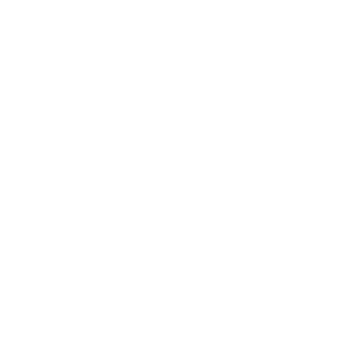 Mountainfilm Logomark