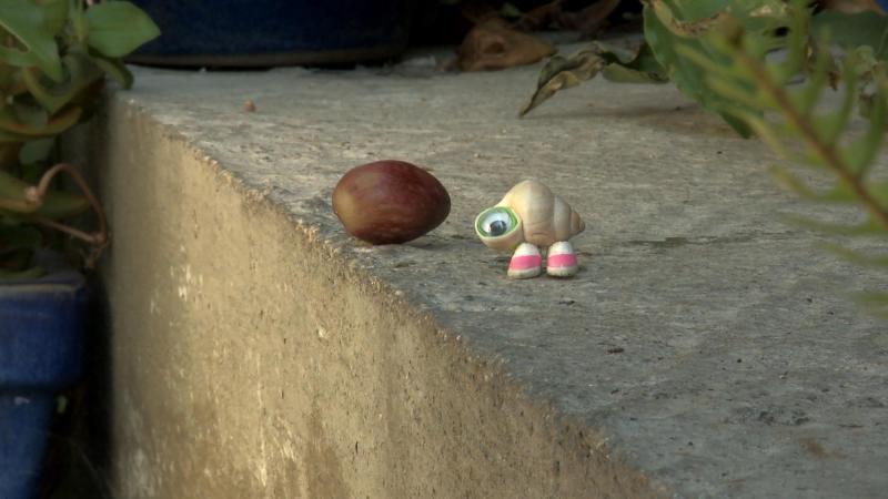 Marcel the Shell with Shoes On | Mountainfilm