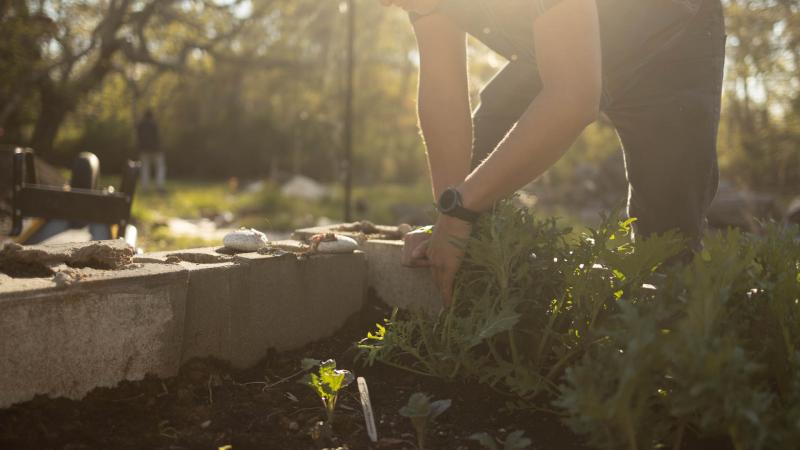 Mountainfilm Festival Films Mountainfilm