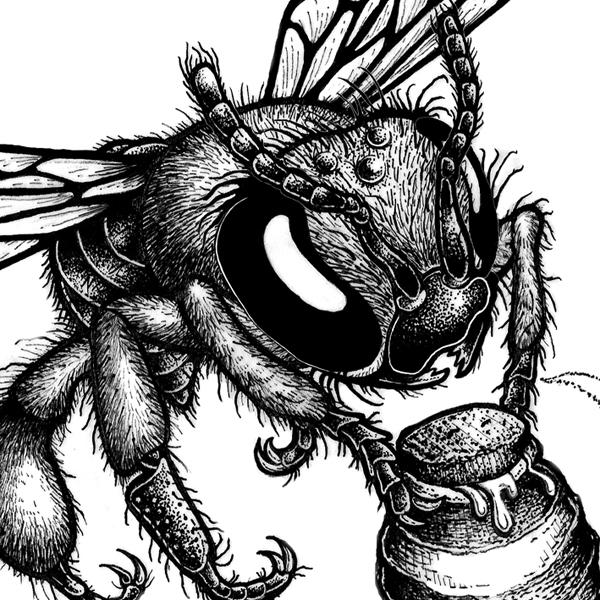 The Beehive Collective The Beehive Collective