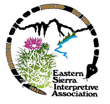 Eastern Sierra Interpretive Association Eastern Sierra Interpretive Association
