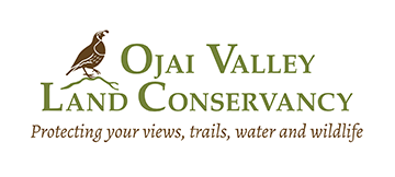 Ojai Valley Land Conservancy Ojai Valley Land Conservancy