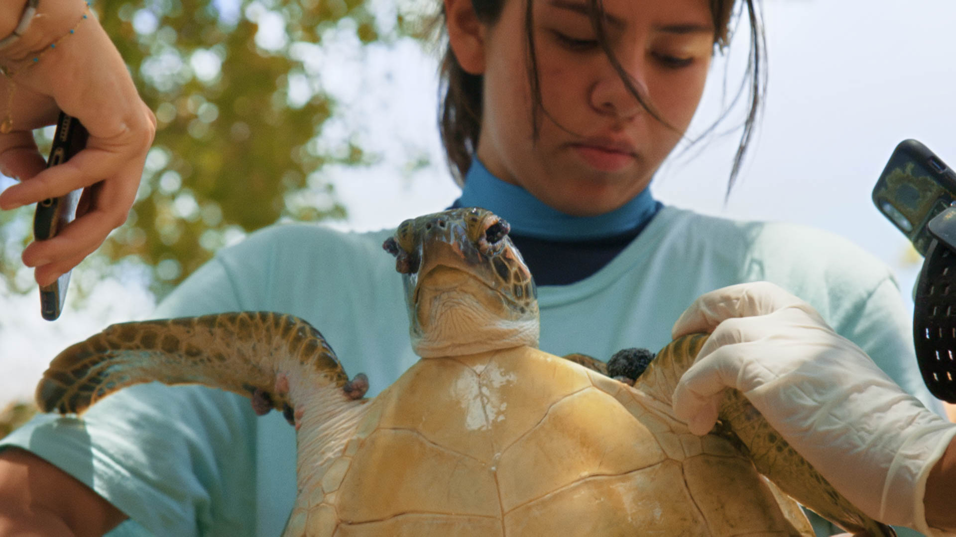 Julieta & the Turtles in the Plastic Soup