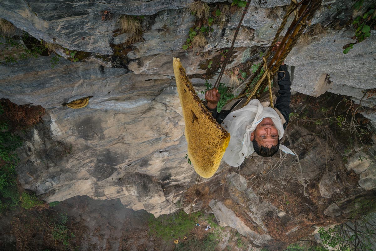 The Last Honey Hunter