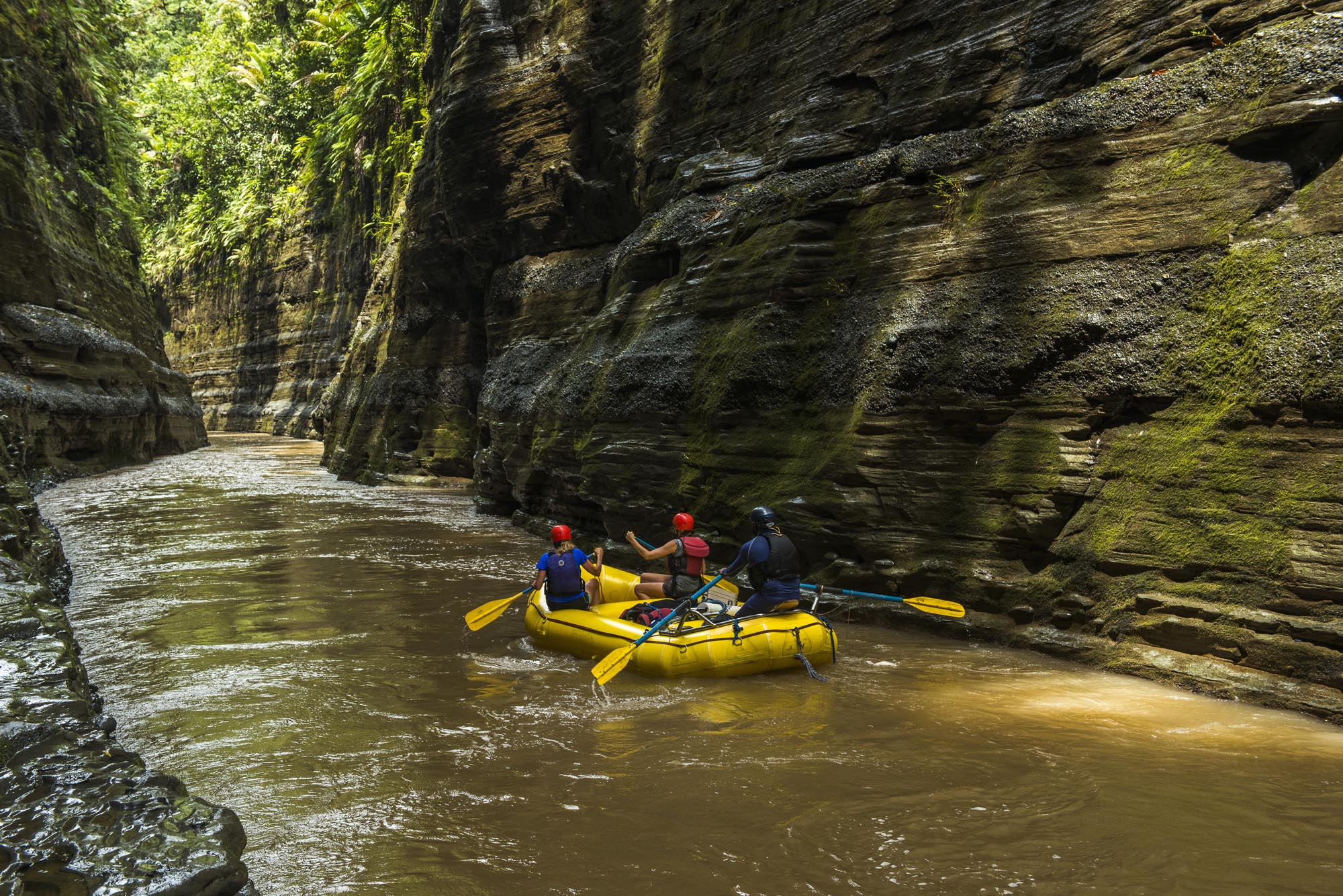 River of Eden