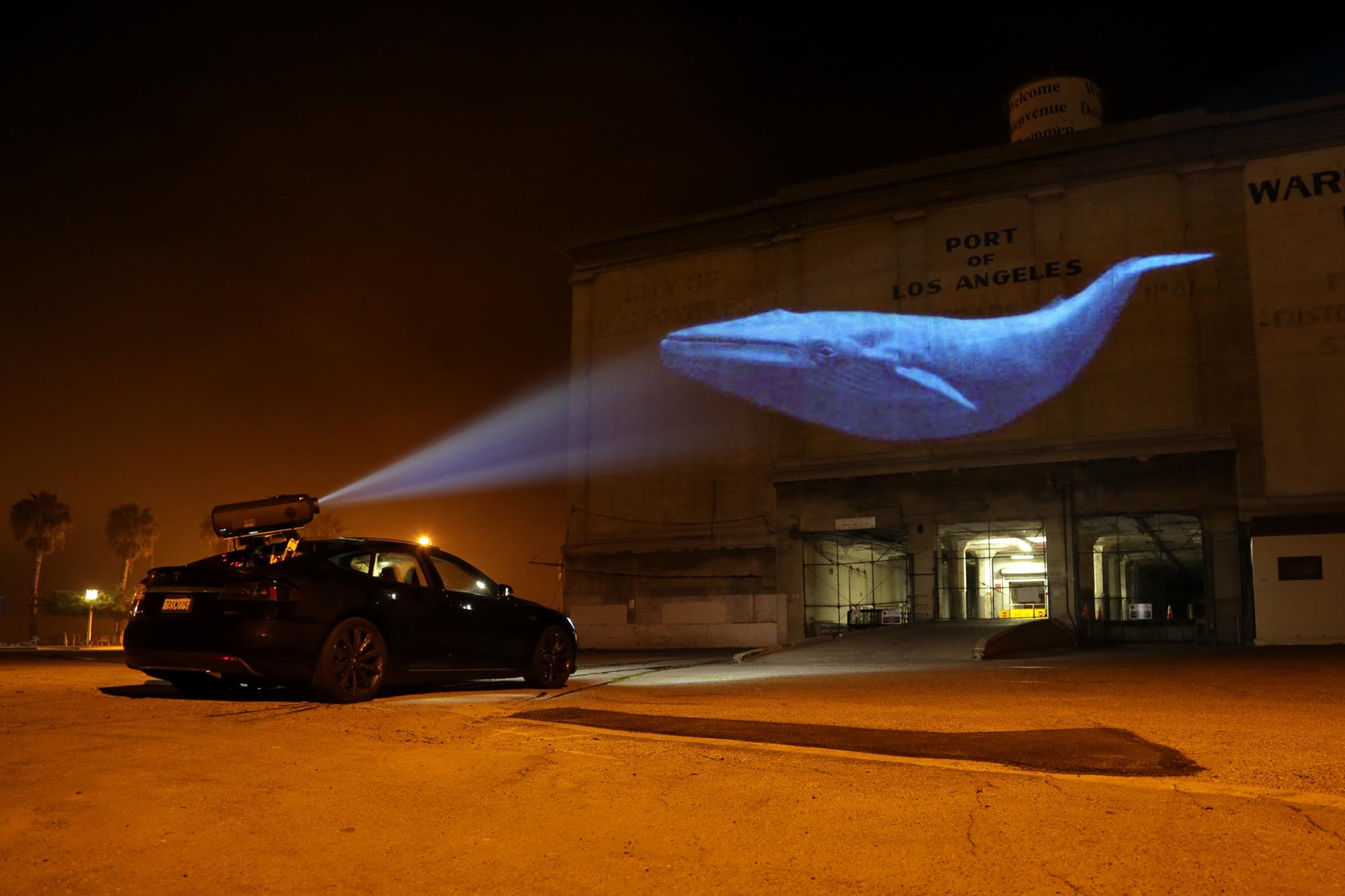 Racing Extinction