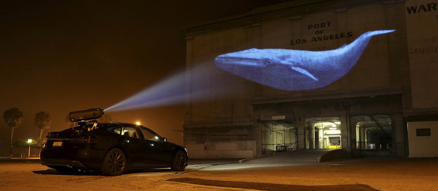 Mountainfilm Brings Encore of Racing Extinction