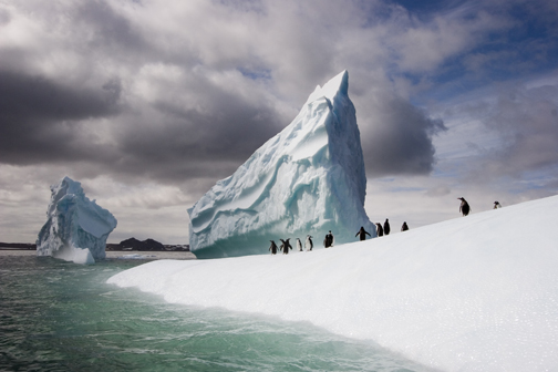 Climate Change through the Eyes of a Climate Artist