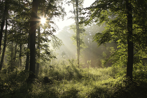 Protecting Wilderness: The Highest Act of Self-Respect