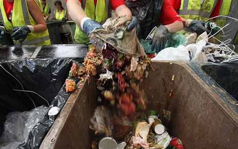 Throwing Away Gorillas: Food Waste