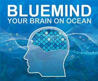 Blue Mind: Does the Ocean Impact Our Brains Neurologically?