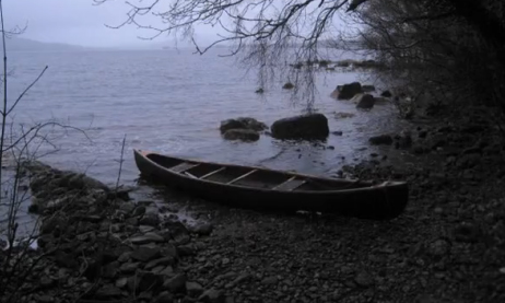 To Watch: Murmuration