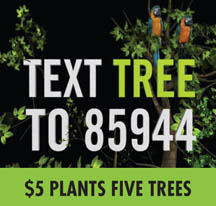 Plant 5 Trees With $5