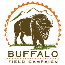 Buffalo Field Campaign