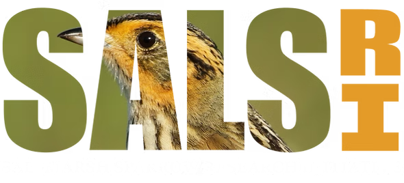 Saltmarsh Sparrow Research Initiative (SSRI)